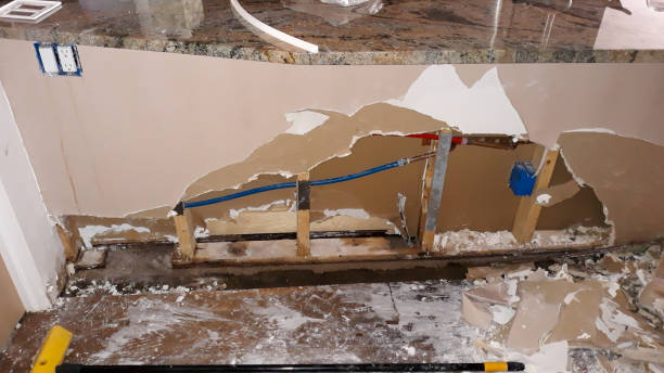 Best Professional water damage repair  in Kgsford Heights, IN