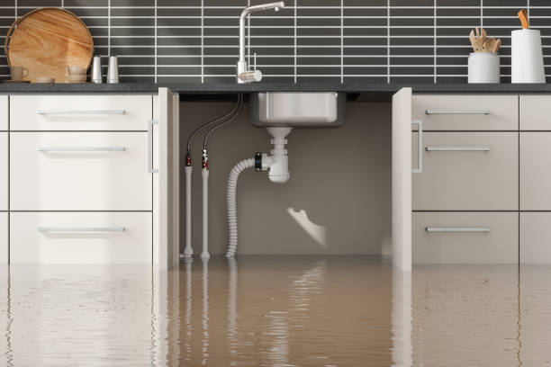 Best Residential water damage restoration  in Kgsford Heights, IN