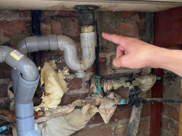 Best 24-hour water damage restoration  in Kgsford Heights, IN