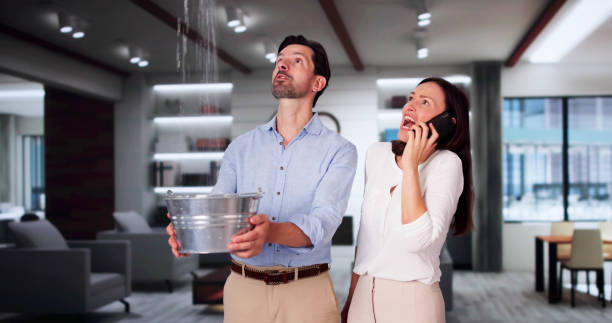 Best Water damage restoration services  in Kgsford Heights, IN